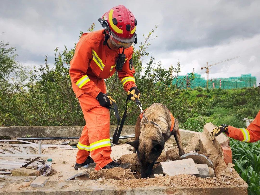 wanbo-关于北京国安内部会议纪要流出——集结日造点机会，法国杯使命明确，心理建设被强调的信息-wanbo